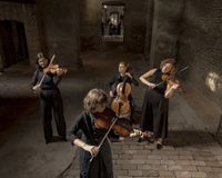 Chaos-String-Quartet&copy;Davide-Bertuccio_006