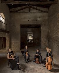 Chaos-String-Quartet&copy;Davide-Bertuccio_008